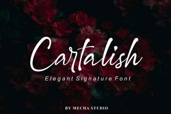 Cartalish: A Timeless Script Handwritten Font for Scroll-Stopping Branding
