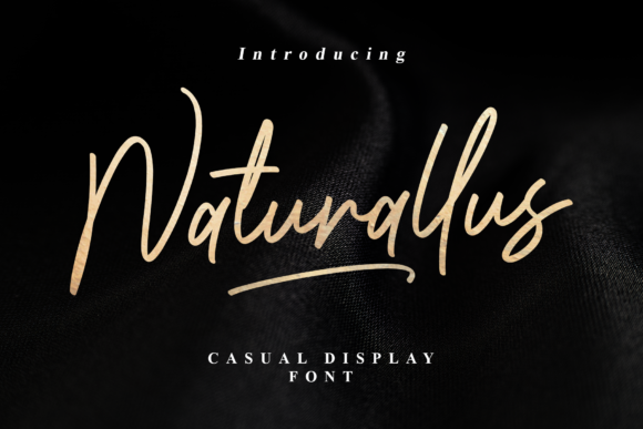 Naturallus Handwritten Font for Crafters & Sellers