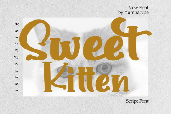 Sweet Kitten Font: Bold Handwritten Charm for Makers